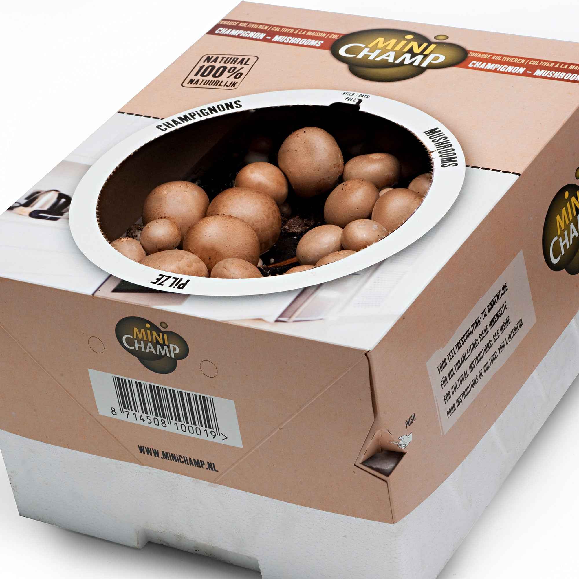 Image du produit 3
